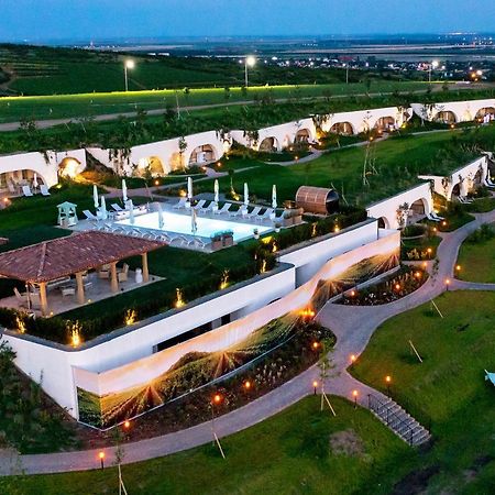 Casa Timis - Wellness & Spa Resort Chitorani Luaran gambar Aerial view of the resort
