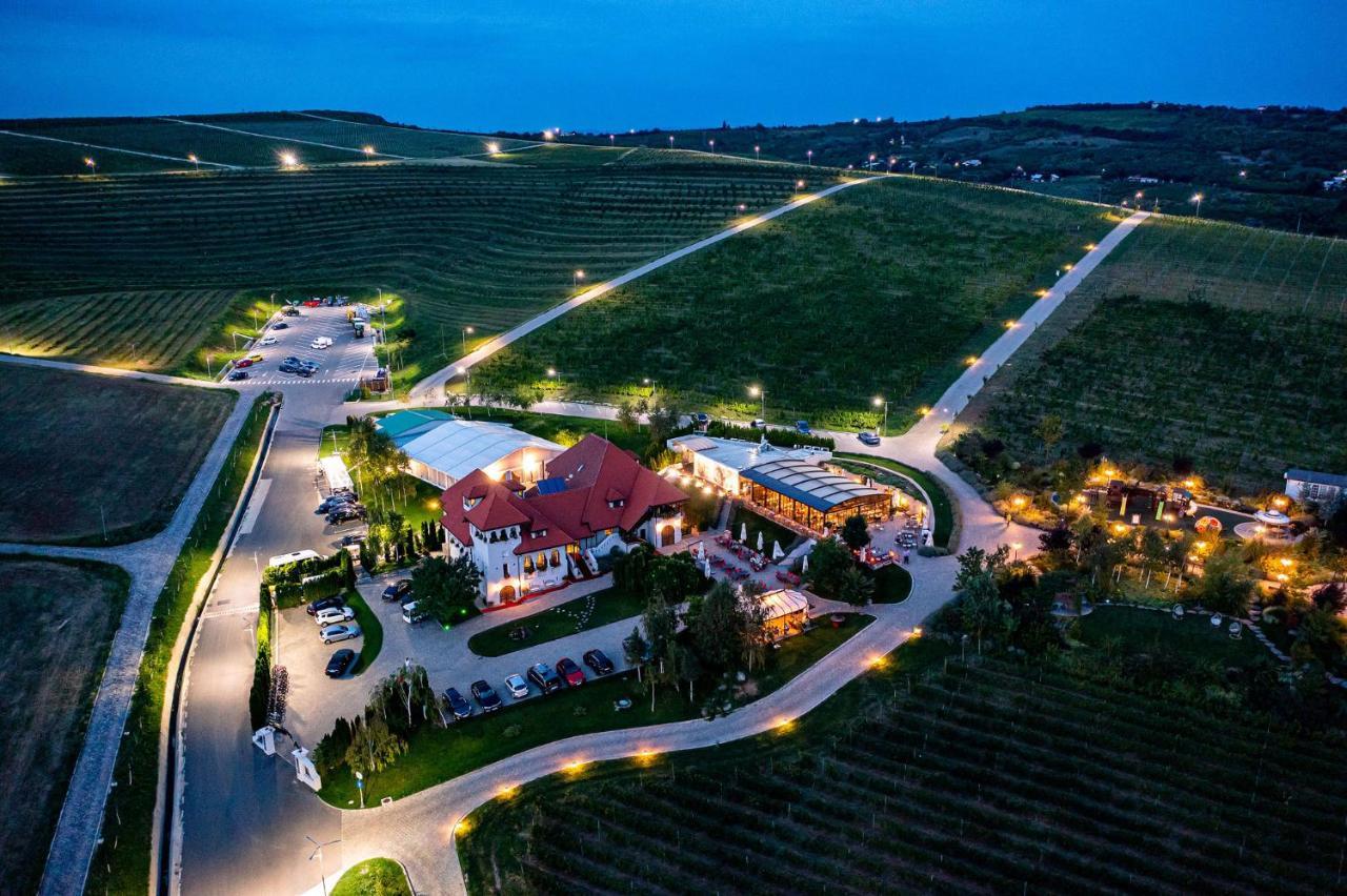 Casa Timis - Wellness & Spa Resort Chitorani Luaran gambar Aerial view of the winery